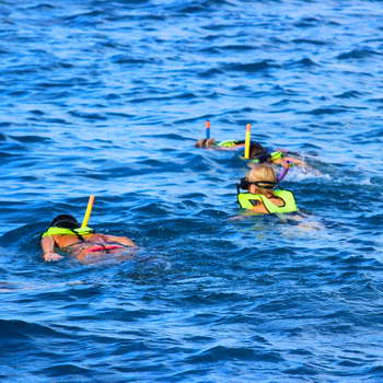 Snorkel with turtle canyon adventure sail