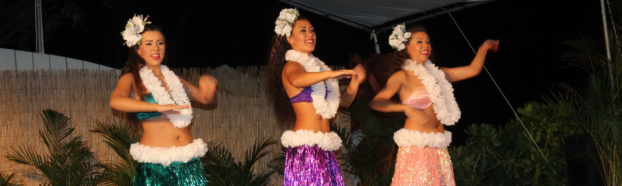 Come watch an amazing Hawaiian Luau