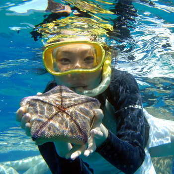 Hawaiian Starfish Snorkeling with Koolina Ocean Adventures