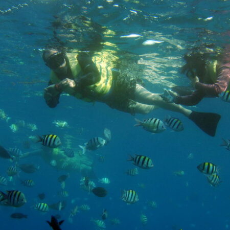 KoOlina Dolphin Adventure Swim