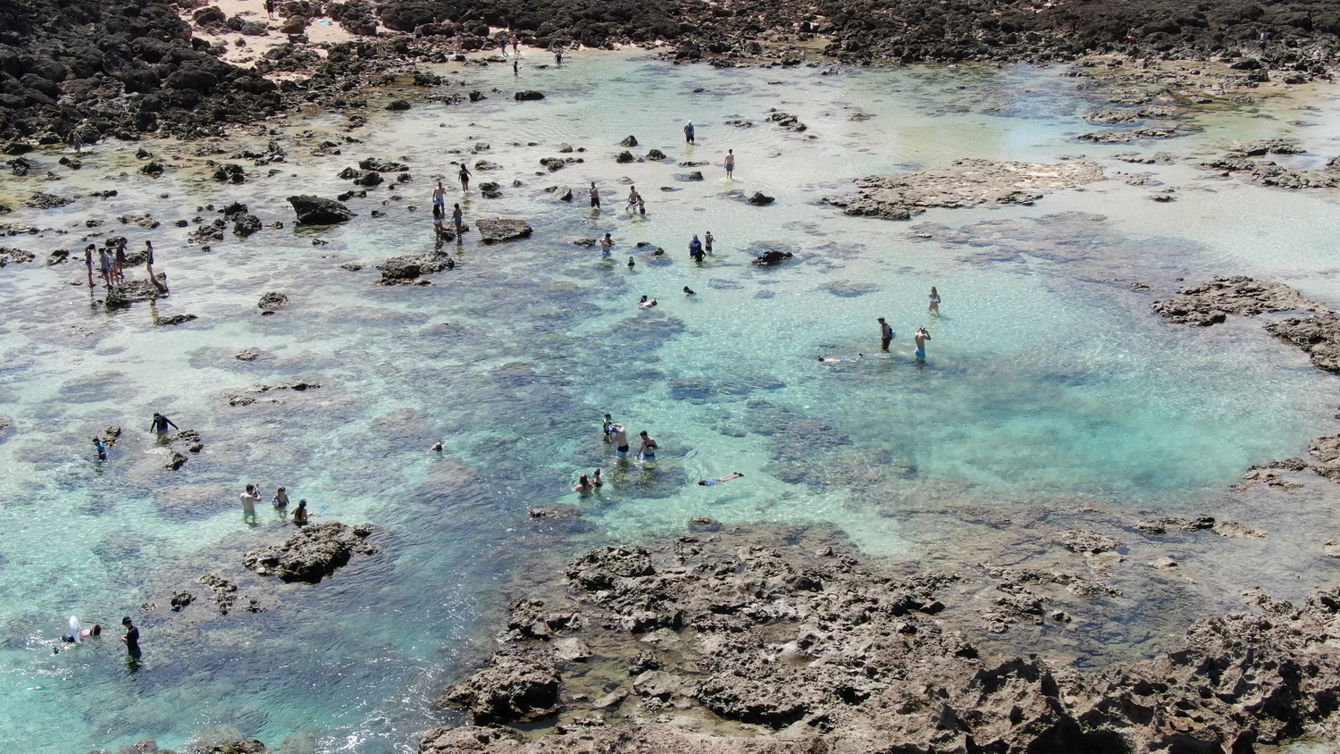 Shark's Cove on the North Shore