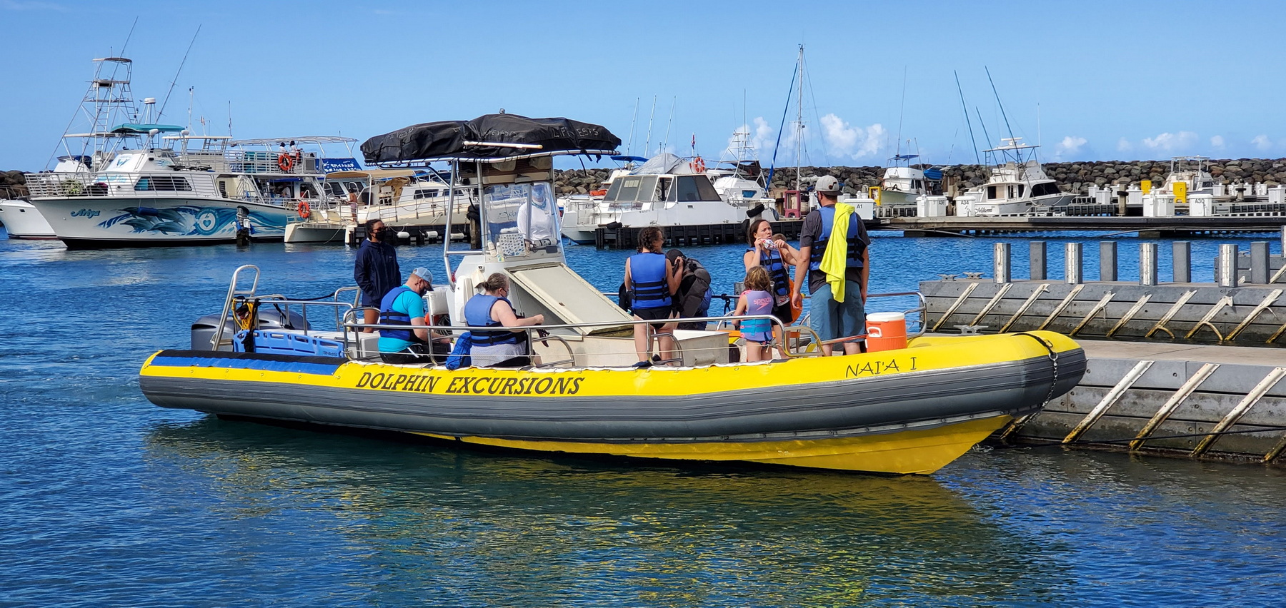 Dolphin Excursions in Waianae