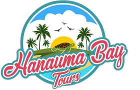 Hanauma Bay Tours