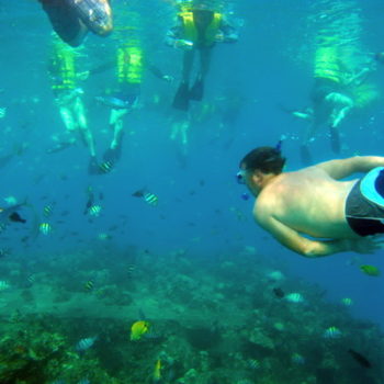 Koolina Ocean Adventures Snorkel spot at Electric Beach