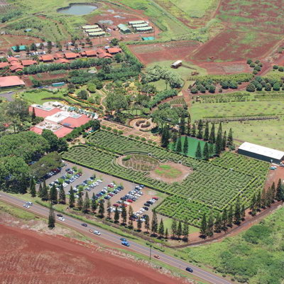 Dole Pineapple Plantation