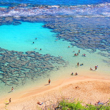 Hanauma Bay Tours