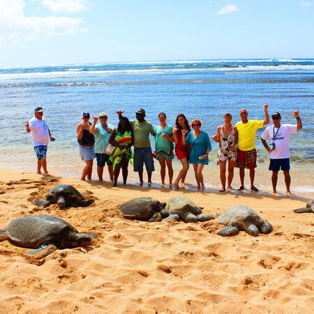 North Shore Beach Bus