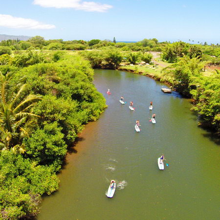 Paddle Boarding with North Shore Beach Bus