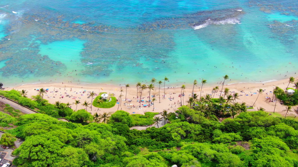 Aerial Shot of Hanauma Bay from a Drone