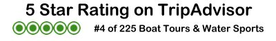 5 Star Rating on TripAdvisor
