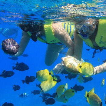 Catamaran Snorkeling