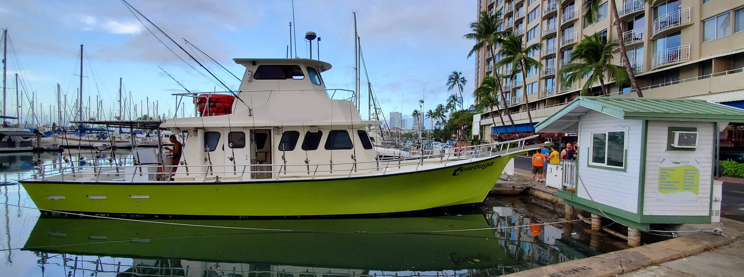 Waikiki Fishing