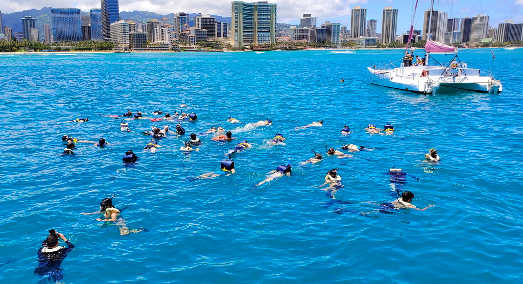 Snorkeling at Turtle Canyon in Waikiki