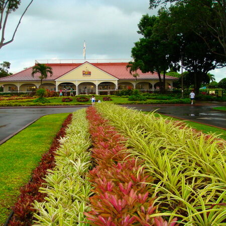 Dole Pineapple Plantation