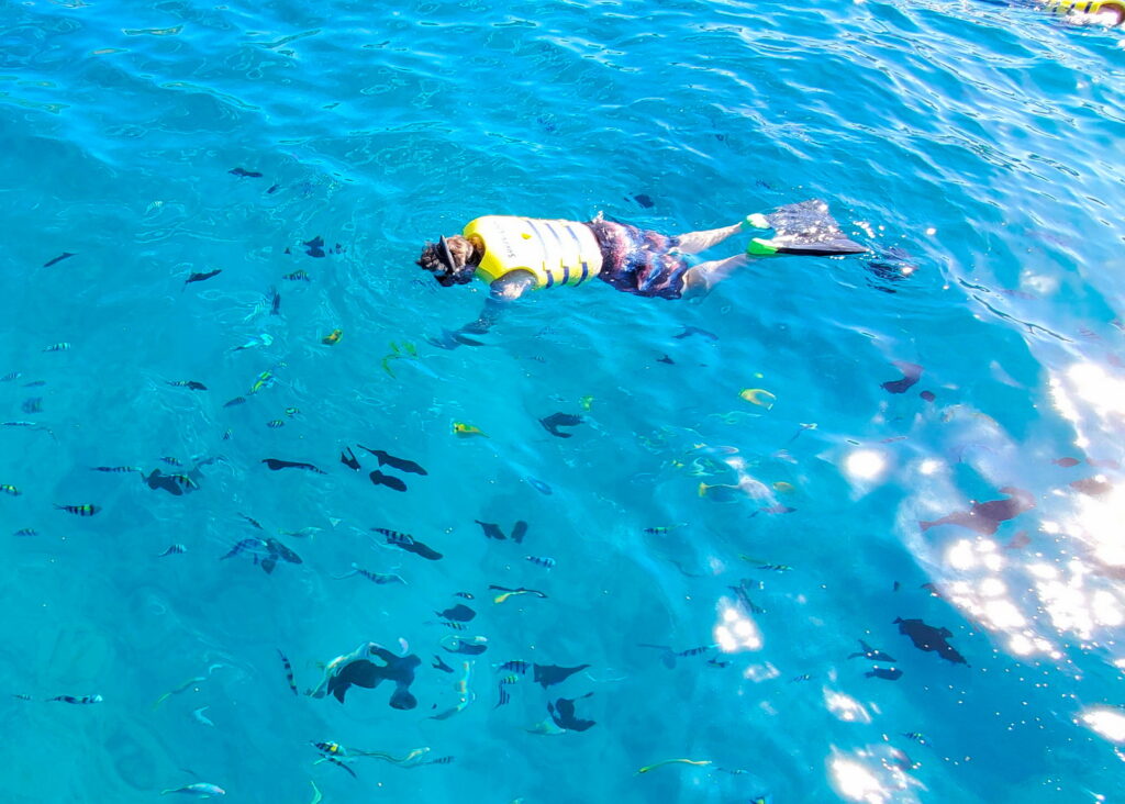 Waikiki Snorkel