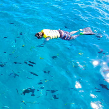 Waikiki Snorkel