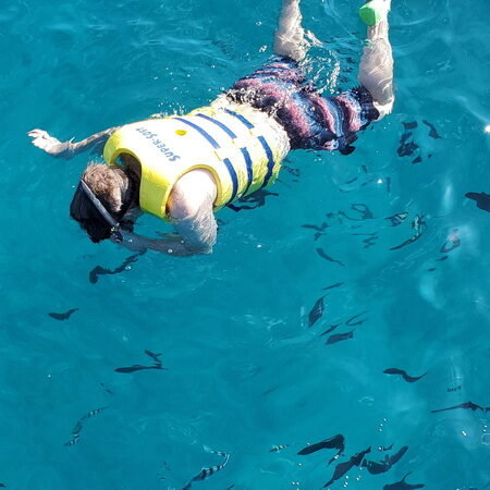 Snorkeling at Turtle Canyon