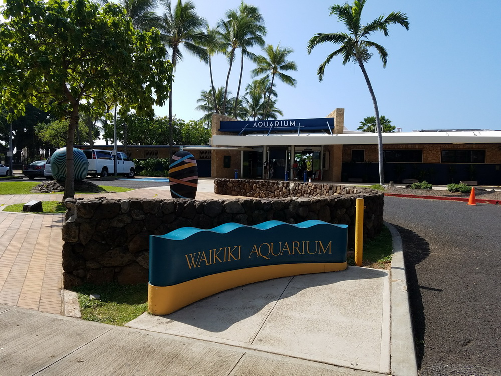 Waikiki Aquarium