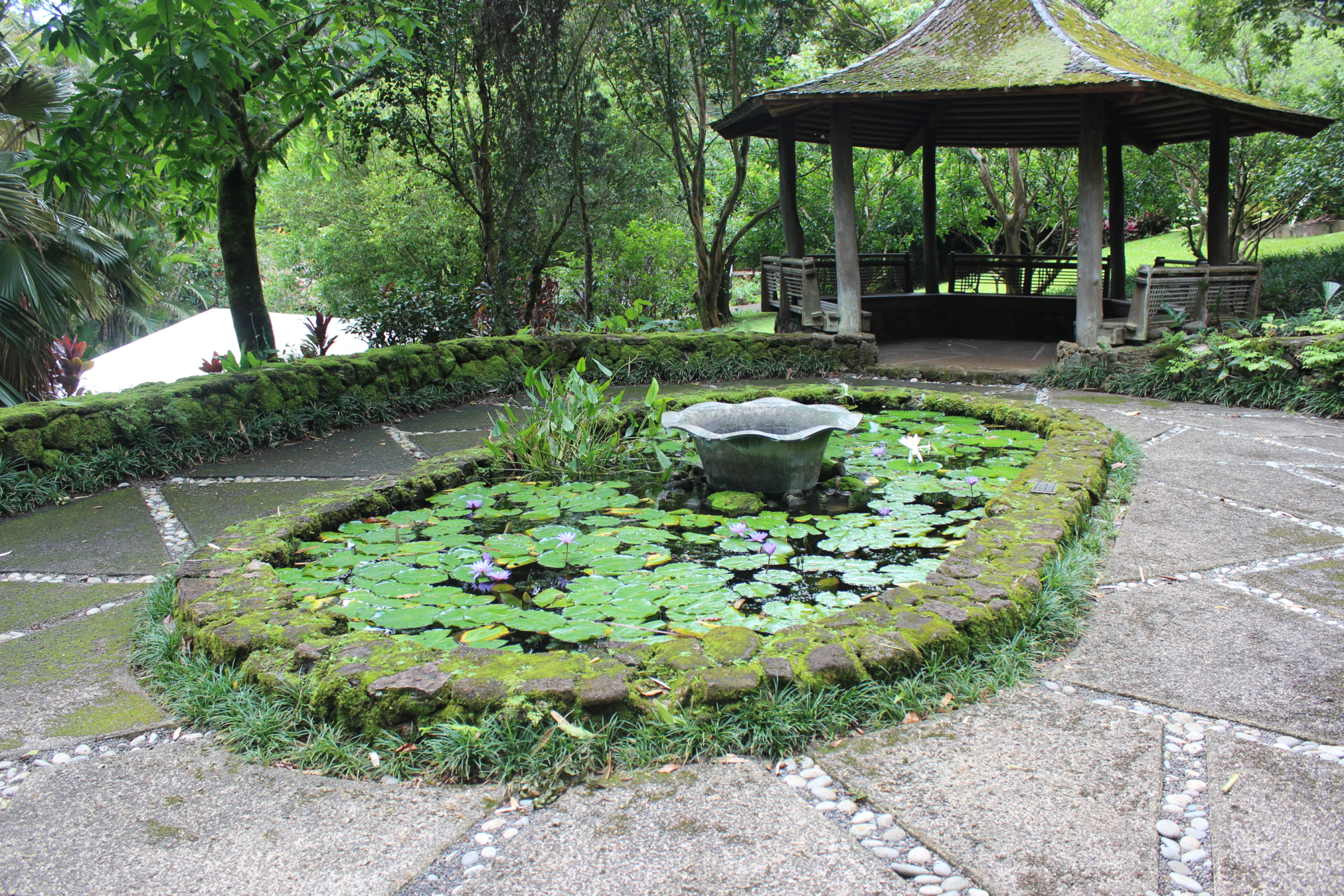 Lyon Arboretum in Oahu, Hawaii