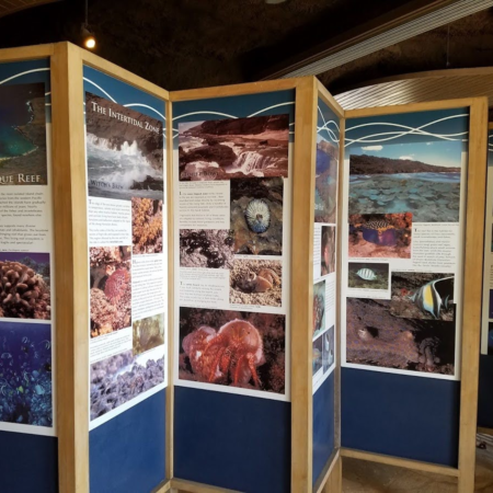 Marine Education Center at Hanauma Bay Nature Preserve